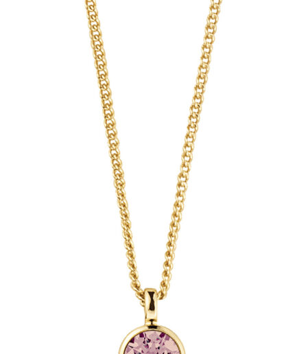 Dyrbergkern Ette Necklace Color: Gold Onesize Women