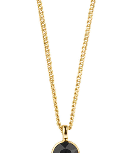 Dyrbergkern Ette Necklace Color: Goldblack Onesize Women