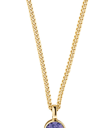 Dyrbergkern Jemma Necklace Color: Goldpurple Onesize Women