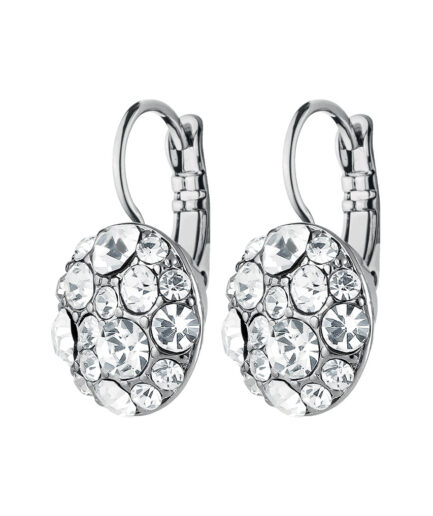 Dyrbergkern Blost Earring Color: Silvercrystal Onesize Women