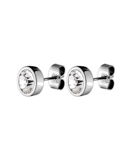 Dyrbergkern Nobles Earring Color: Silvercrystal Onesize Women